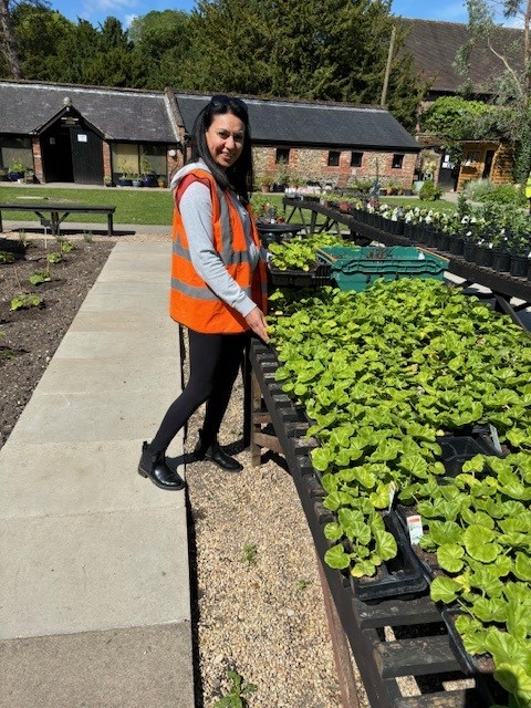 The Bucks team helping out at the Great Missenden Walled Garden.