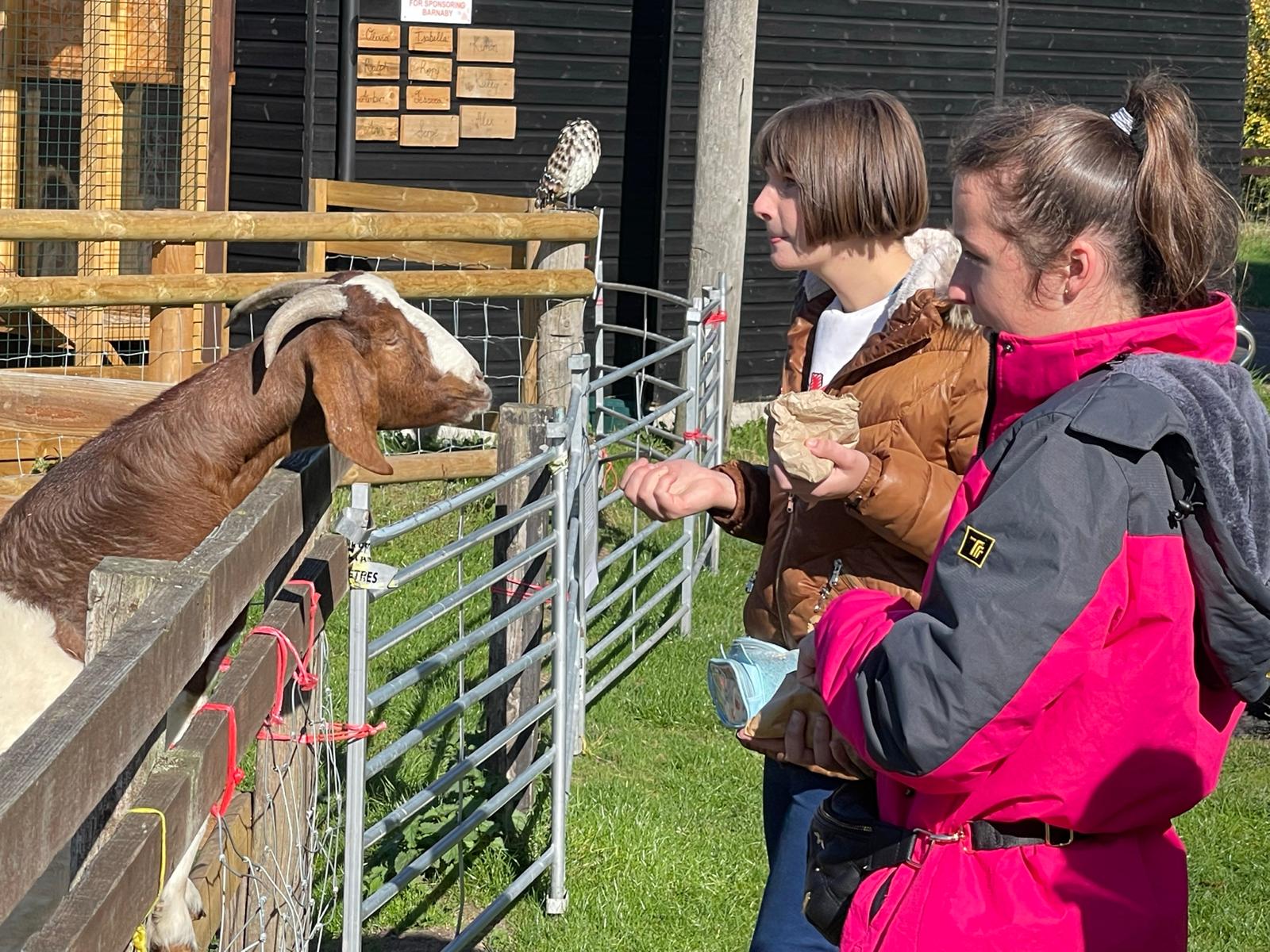 Juliet often takes the ladies she supports on day trips, here they are at an animal sanctuary.