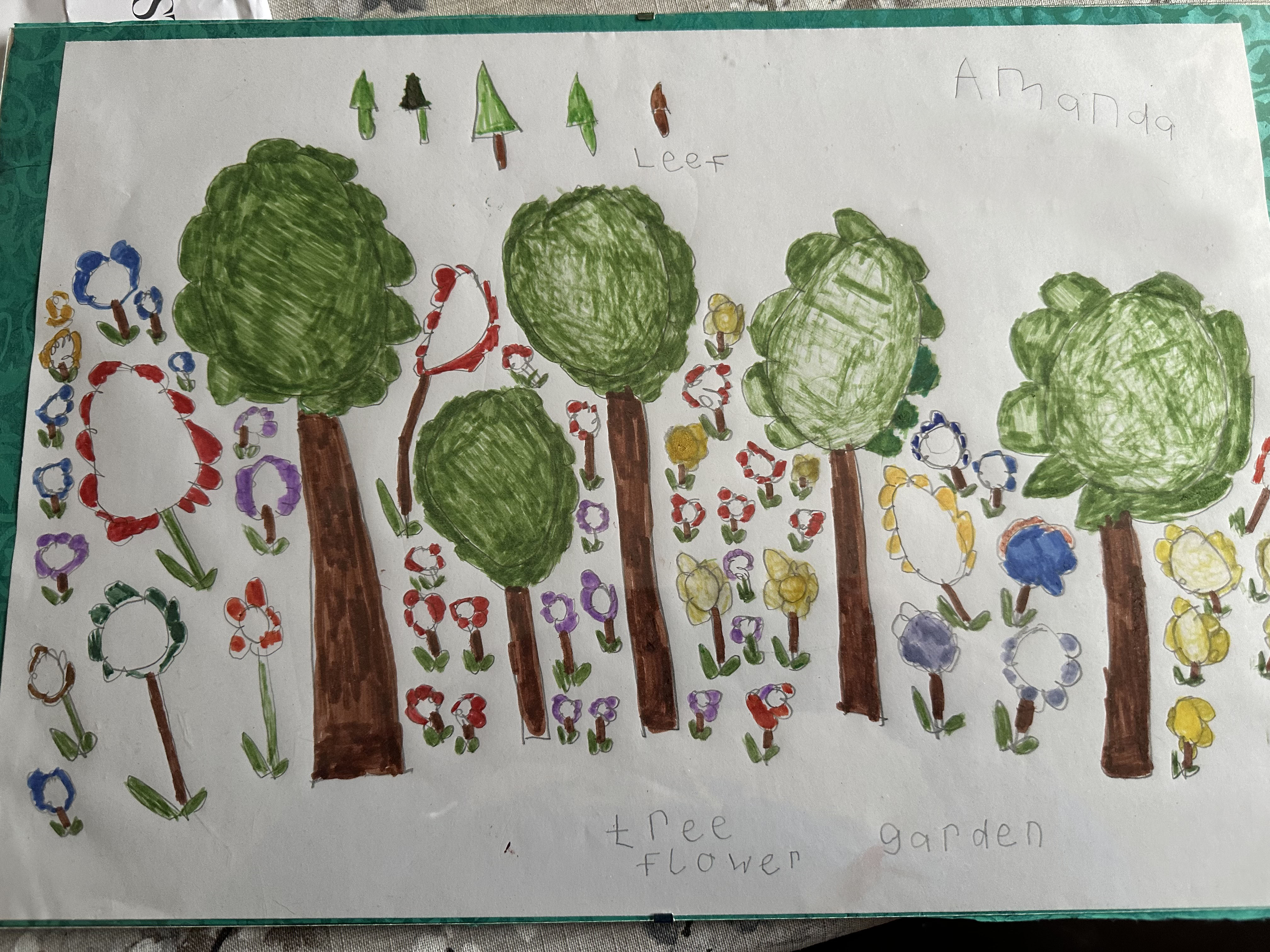 Amanda's nature scene drawing