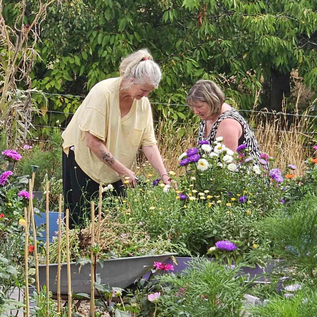 A picture of two volunteers tending to the gardens