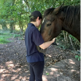 Someone petting a horse.  