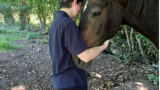 Someone petting a horse.  