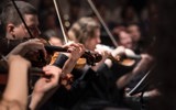 People playing violin in orchestra