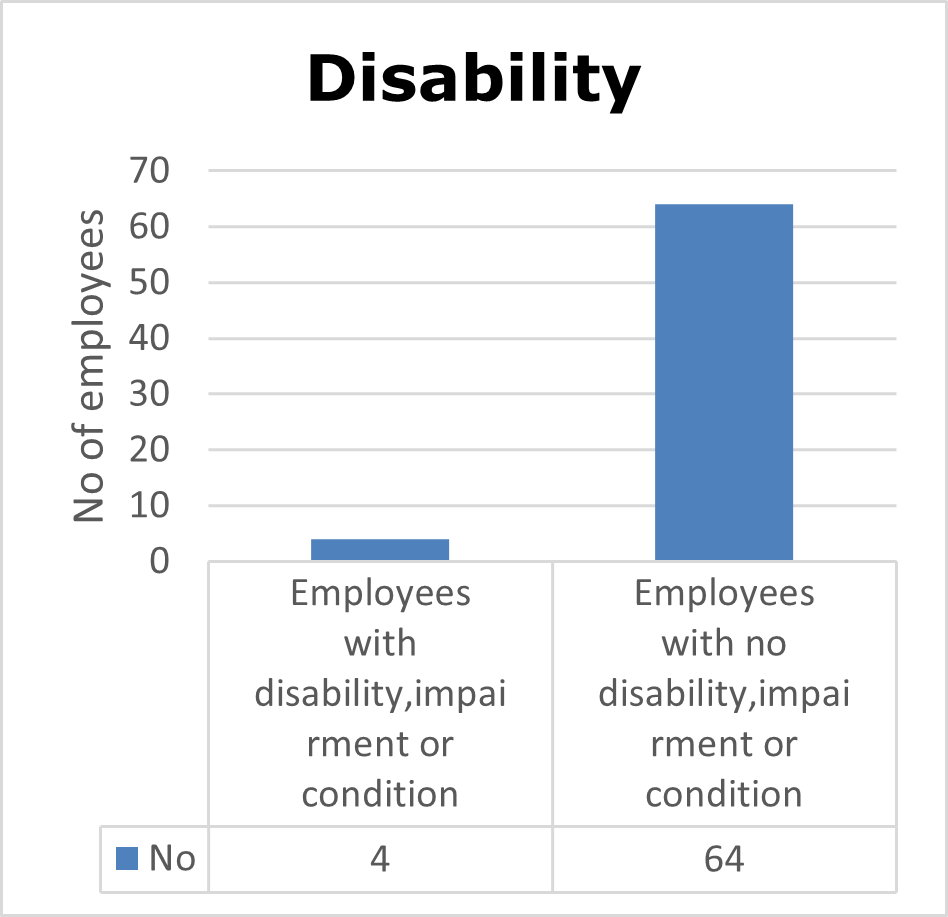 Bar graph to show employees with a disability in Ategi.